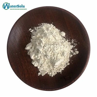 Polvere di proteine ​​di riso-essiccate all'aria